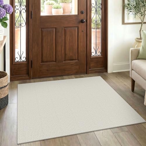 EARTHALL Washable Entryway Rug, Non Slip Doormat, 3x4 Ft, Cream/Grayish