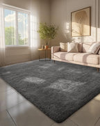 Ophanie 6x9 Area Rugs,Upgrade Non-Slip Fluffy Soft Rugs for Living Room,Large Shag Grey Fuzzy Plush Rug,Gray Shaggy Big Carpets for Bedroom,Kids Boys Girls Dorm Decor with Over 99 pcs Pile fibers by Ophanie
