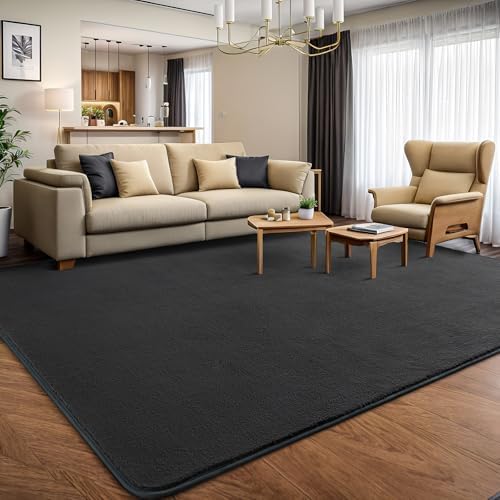 AROGAN 5x7 Area Rugs for Living Room Non Slip Dorm Bedroom Rug, Dark Grey - Image 3