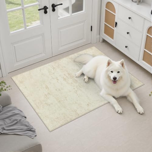 2x3 Washable Entryway Rug: Modern Abstract Indoor Soft Carpet Beige - Image 3