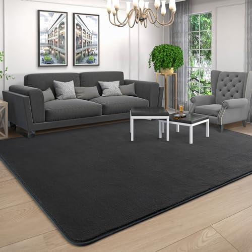 AROGAN 4x6 Area Rugs for Living Room Non Slip Dorm Bedroom Rug, Dark Grey - Image 5