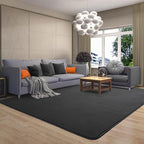 AROGAN 6x9 Area Rugs for Living Room Non Slip Dorm Bedroom Rug, Dark Grey - Image 7