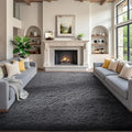 Ophanie 7x9 Area Rugs,Upgrade Non-Slip Fluffy Soft Rugs for Living Room,Large Shag Grey Fuzzy Plush Rug,Gray Shaggy Big Carpets for Bedroom,Kids Boys Girls Dorm Decor with Over 99 pcs Pile fibers by Ophanie