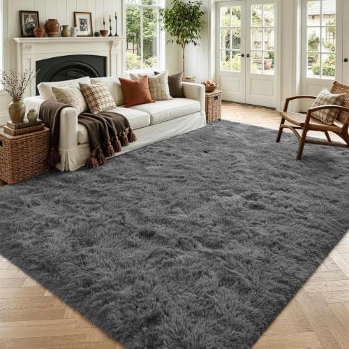 Noahas 4x6 Dark Grey Fluffy Soft Area Rug Non-Slip for Bedroom Living Room by ModernHomeDecor