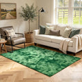 3x5 Tie-dye Green Area Rug Washable Non-Slip Soft Thin for Bedroom Kitchen by Unknown