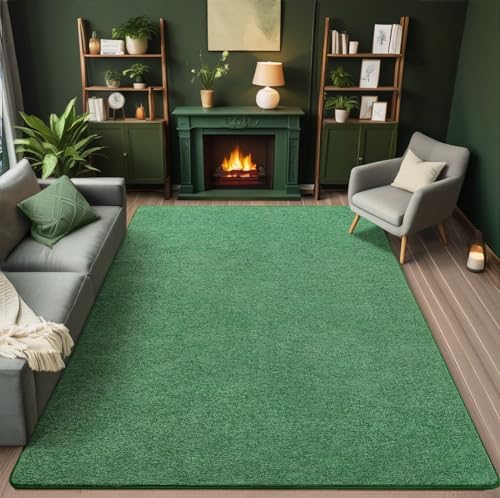 AROGAN 4x6 Area Rugs for Living Room Non Slip Dorm Bedroom Rug, Matte Green - Image 2