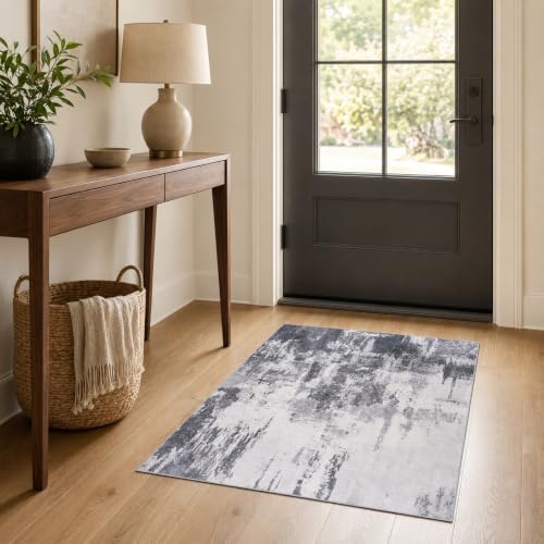 Entrance Rugs Indoor 2x3 Dark Grey Entry Rug Washable Abstract Small Area Rug Non-Slip Low Pile Throw Rugs for Entryway, Kitchen Floor, Front Door Indoor Door Mat, Bathroom, Bedroom Bedside by OmpaaHomeDecor