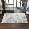 Washable 2x4 Entryway Area Rugs: Non-Slip Abstract Water Resistant Kitchen Rug Durable Doormat Soft Bedroom Carpet Indoor Low Pile Floor Mat for Bathroom Dining Room Hallway Runners(2x4,Light/Grey) by HYHAOYUNLAI