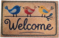 Outdoor Rug Door Mat, Welcome Mat, Non-Slip Entrance Mat, Stylish Front Door Mat, Entryway Rug, 19"x31" (10. WelcomeBird) by COMCONHMY