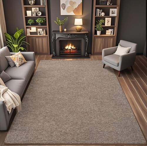 AROGAN 6x9 Area Rugs for Living Room Non Slip Dorm Bedroom Rug, Matte Brown - Image 3