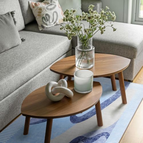 Ompaa Living Room Rug 5x8 Blue Area Rug Machine Washable Rug Non Slip Indoor Large Rugs for Bedroom, Classroom, College Dorm, Farmhouse, Dining Room, Kids Playroom - Image 3