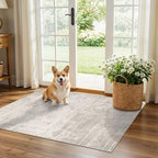 HAOYUNLAI 2x3 Entryway Area Rug: Washable Kitchen Bedroom Carpet Soft Abstract Laundry Bathroom Rugs with Non-Slip Backing Easy-Clean Distressed Home Decor Floor Mat for Pets Family (2x3,Beige/Cream) by HYHAOYUNLAI