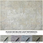 Aelenmu 10x14 Area Rugs for Living Room Washable Dining Room Beige Grey - Image 6