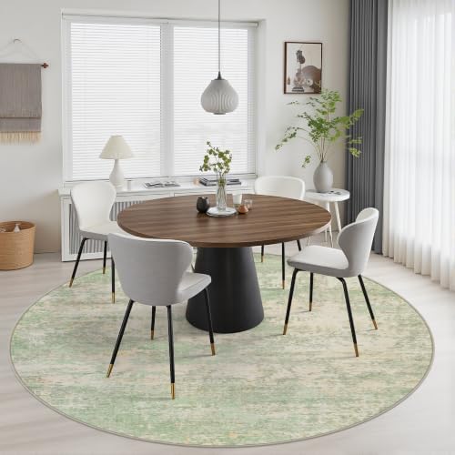Round Area Rug Living Room: 4 ft Modern Washable Indoor Carpet - Image 5