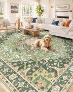 OLANLY 6x9 Washable Area Rug, Soft Non Slip Carpet for Bedroom Living Room by OLANLY