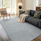 4x6 Light Grey Solid Area Rug Washable Non-Slip for Bedroom Living Room by Unknown