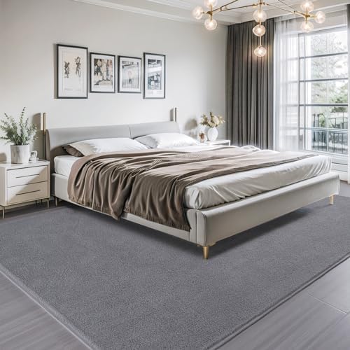AROGAN 4x6 Area Rugs for Living Room Non Slip Dorm Bedroom Rug, Grey - Image 6