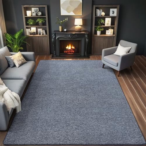AROGAN 5x7 Area Rugs for Living Room Non Slip Dorm Bedroom Rug, Blue by AROGANAREARUG