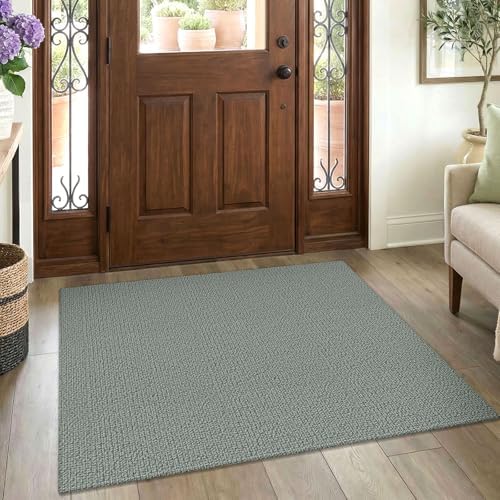 EARTHALL Washable Rugs for Entryway, Non Slip Aear Rug, 3x4 Ft, Green/Grey by Unknown