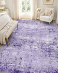 OLANLY 5x7 Washable Area Rug, Soft Non Slip Carpet for Bedroom Living Room by OLANLY