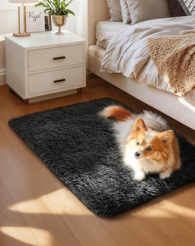 Ophanie Small Rug Washable Non Slip Throw Bedside Area Rugs, Fluffy Soft Mini Bedroom Carpet, Door Entryway Indoor Inside Front Entrance 1.5x2.5 Mat, Home Decor Aesthetic, Black by Ophanie