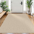 EARTHALL Washable Area Rug, Non Slip Entryway Rug, 4x6 Ft, Sand/Beige by Unknown