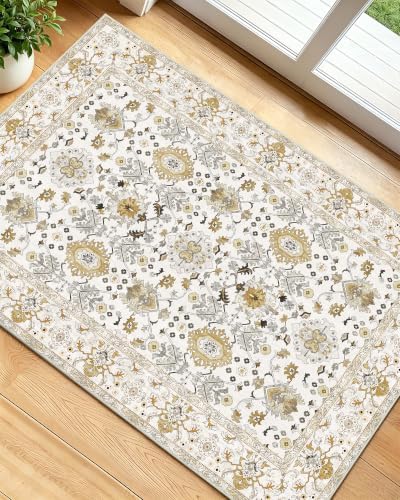 OLANLY 2x3 Washable Small Rug Non Slip Indoor Door Mat for Entryway Bedside by OLANLY