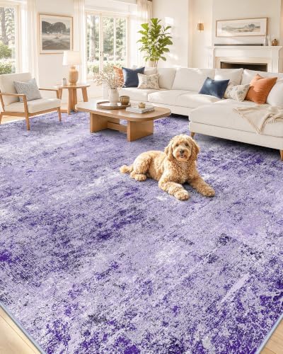OLANLY 6x9 Washable Area Rug, Soft Non Slip Carpet for Bedroom Living Room by OLANLY