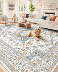 OLANLY 6x9 Washable Area Rug, Soft Non Slip Carpet for Living Room by OLANLY