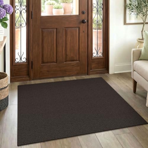 EARTHALL Washable Entryway Rug, Non Slip Doormat, 3x4 Ft, Taupe/Coffee by Unknown