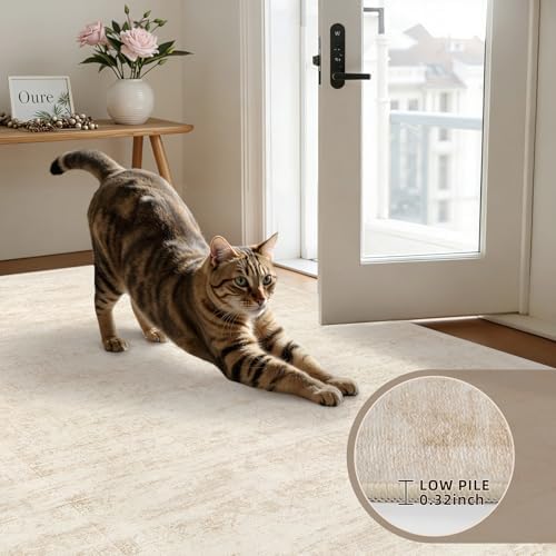 3x10 Hallway Washable Runner Rug: Kitchen Carpet Retro Beige - Image 5