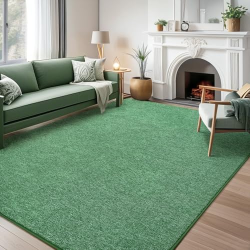 AROGAN 6x9 Area Rugs for Living Room Non Slip Dorm Bedroom Rug, Matte Green by AROGANAREARUG
