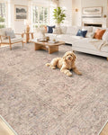OLANLY 8x10 Washable Area Rug, Soft Non Slip Carpet for Bedroom Living Room by OLANLY