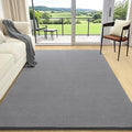 AROGAN 4x6 Area Rugs for Living Room Non Slip Dorm Bedroom Rug, Grey by AROGANAREARUG