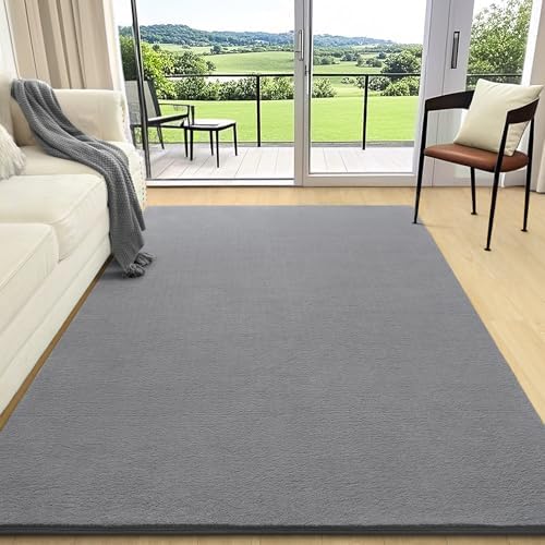 AROGAN 4x6 Area Rugs for Living Room Non Slip Dorm Bedroom Rug, Grey by AROGANAREARUG