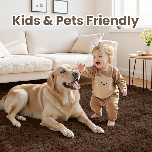 6x9 Fluffy Shag Area Rugs for Living Room Bedroom: Soft Plush Carpet Brown - Image 4