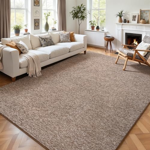 AROGAN 4x6 Area Rugs for Living Room Non Slip Dorm Bedroom Rug, Matte Brown by AROGANAREARUG