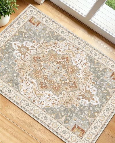 OLANLY 2x3 Washable Small Rug Non Slip Indoor Door Mat for Entryway Bedside by OLANLY