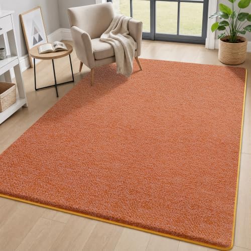 AROGAN 4x6 Area Rugs for Living Room Non Slip Dorm Bedroom Rug, Orange by AROGANAREARUG