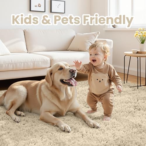 4x6 Fluffy Shag Area Rugs for Living Room Bedroom: Soft Plush Carpet Beige - Image 4