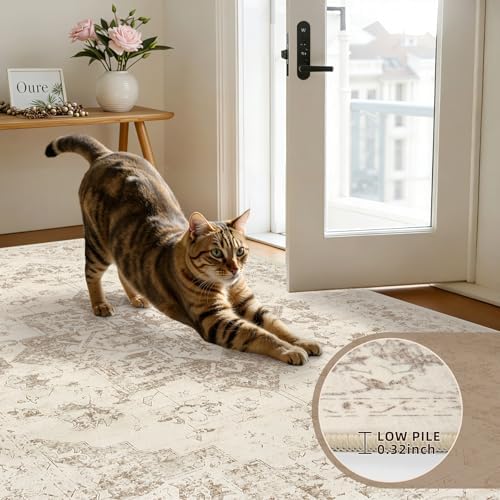 3x10 Hallway Washable Runner Rug: Kitchen Carpet Beige/Ivory - Image 5