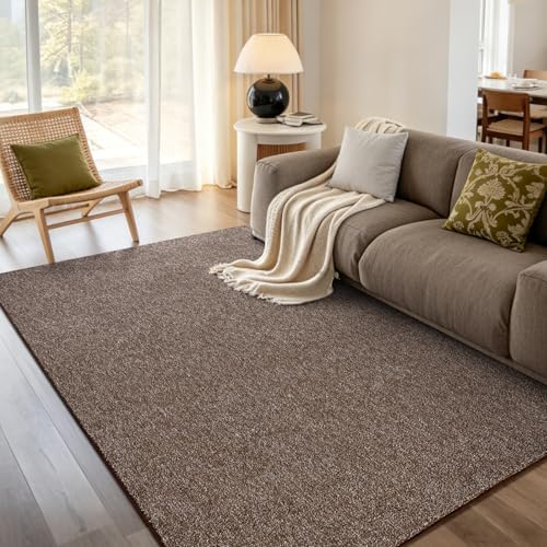 4x6 Coffee/White Area Rug Washable Non-Slip Soft for Bedroom Living Room by Unknown