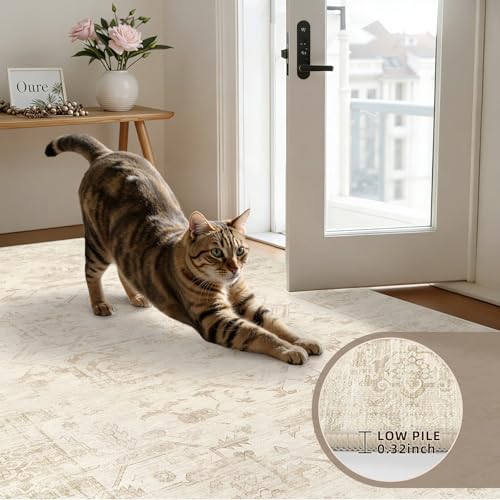 4x6 Area Rugs Living Room: Bedroom Washable Carpet Beige/Brown - Image 7
