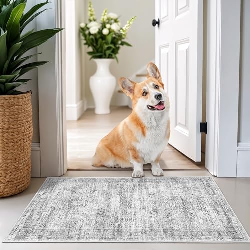 2x3 Rug Non Slip, Small Washable Entryway Rug,Grey by Restydon