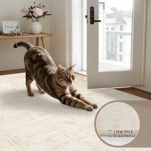 6x6 Area Rugs Living Room: Bedroom Neutral Washable Carpet Beige - Image 7