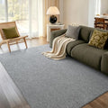 5x7 Grey Area Rug Washable Non-Slip Soft Thin for Living Room Bedroom by Unknown