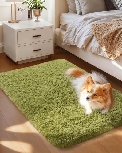 Ophanie Small Rug Washable Non Slip Throw Bedside Area Rugs, Fluffy Soft Green Mini Bedroom Carpet, Affordable Door Entryway Indoor Inside Front Entrance Dog 2x3 Mat, Home Decor Aesthetic, Nursery by Ophanie