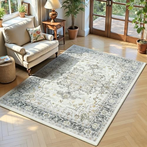 Lofus 3x5 Taupe Grey Rugs for Bedroom Living Room, Vintage Boho Carpet by Lofus