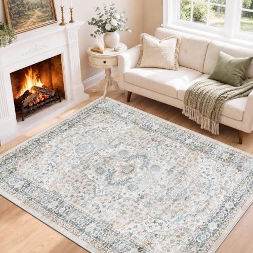 SameBed 5x7 Area Rug Living Room, Vintage Washable Carpet Grey Blue by SameBed