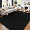 AROGAN 5x7 Area Rugs for Living Room Non Slip Dorm Bedroom Rug, Black by AROGANAREARUG